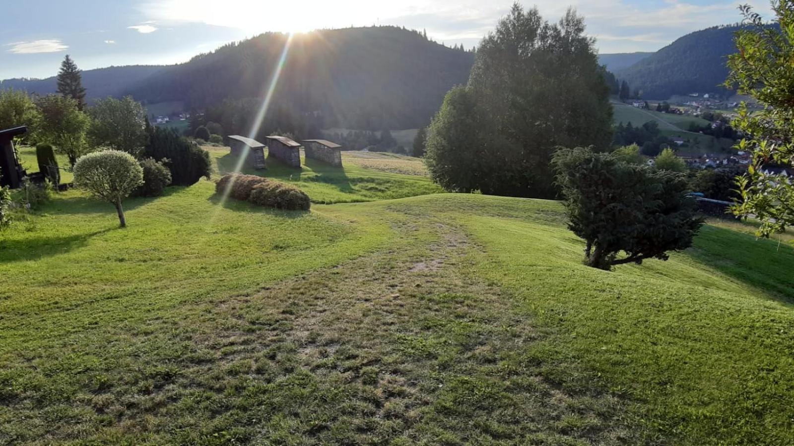 Ferienhaus Seefried Baiersbronn Εξωτερικό φωτογραφία